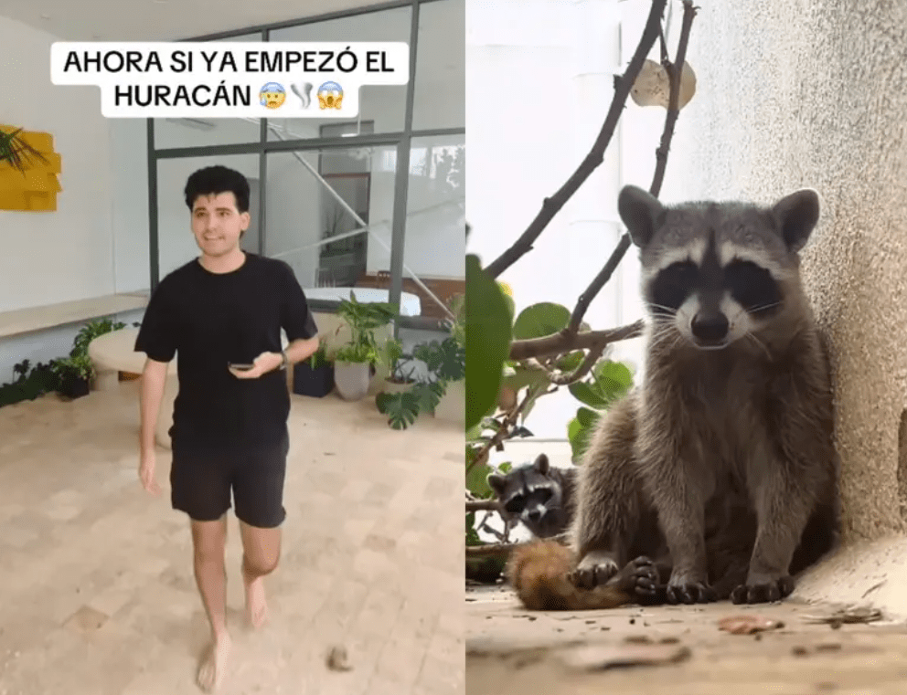 Joven prepara “arca de Noé” para proteger a sus animales