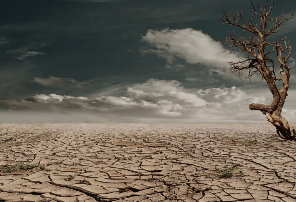 Tierra agrietada y seca bajo un cielo nublado, simbolizando los efectos de sequías extremas por El Niño.
