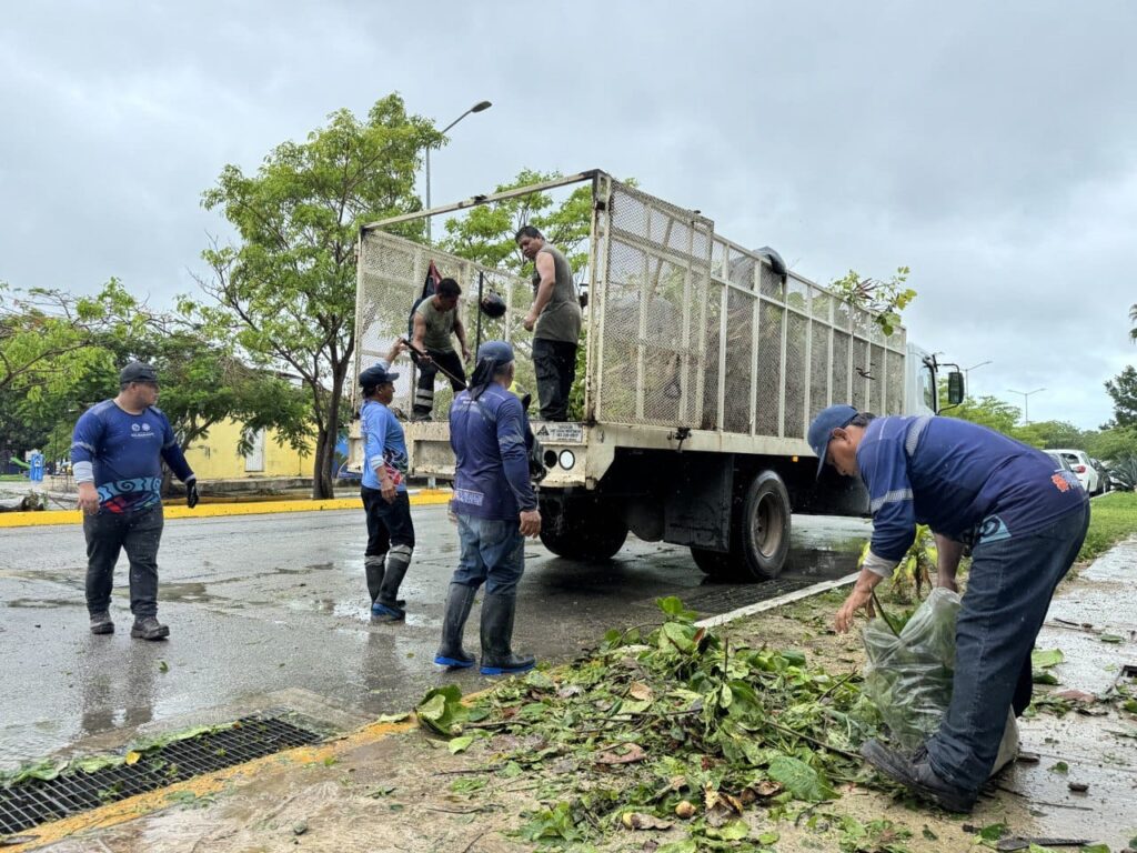 Solidaridad registra saldo blanco tras el paso de Beryl